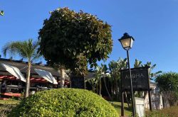 Restaurangen Aloha Grill i Nueva Andalucia